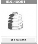 IPS Parts - IBK10051 - 